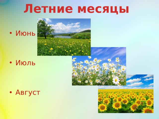 Летние месяцы