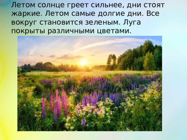 Летом солнце греет сильнее, дни стоят жаркие. Летом самые долгие дни. Все вокруг становится зеленым. Луга покрыты различными цветами.