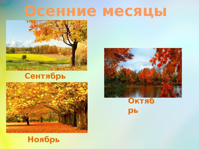 Осенние месяцы Сентябрь Октябрь Ноябрь