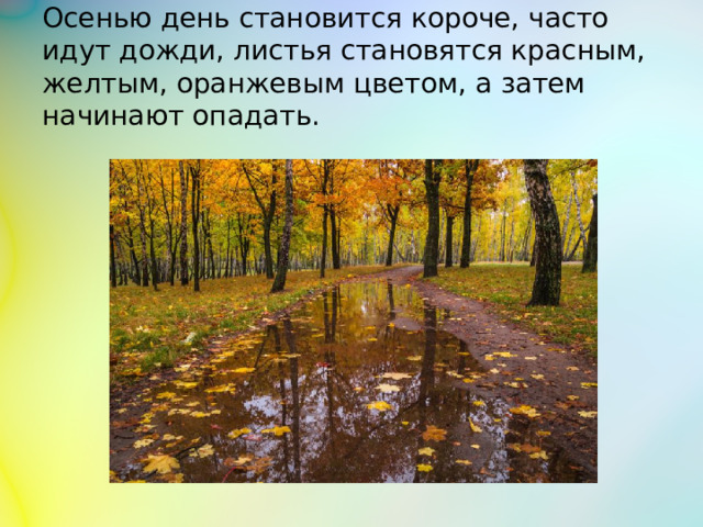 Осенью день становится короче, часто идут дожди, листья становятся красным, желтым, оранжевым цветом, а затем начинают опадать.