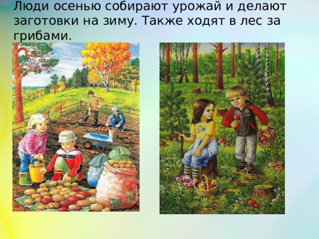 Люди осенью собирают урожай и делают заготовки на зиму. Также ходят в лес за грибами.