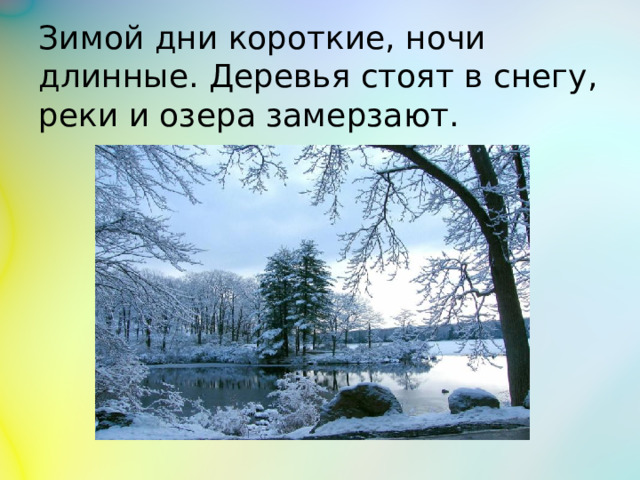 Зимой дни короткие, ночи длинные. Деревья стоят в снегу, реки и озера замерзают.