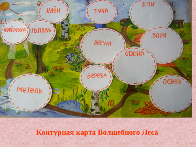 Контурная карта Волшебного Леса