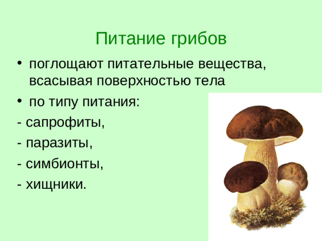Питание грибов поглощают питательные вещества, всасывая поверхностью тела по типу питания: - сапрофиты, - паразиты, - симбионты, - хищники.