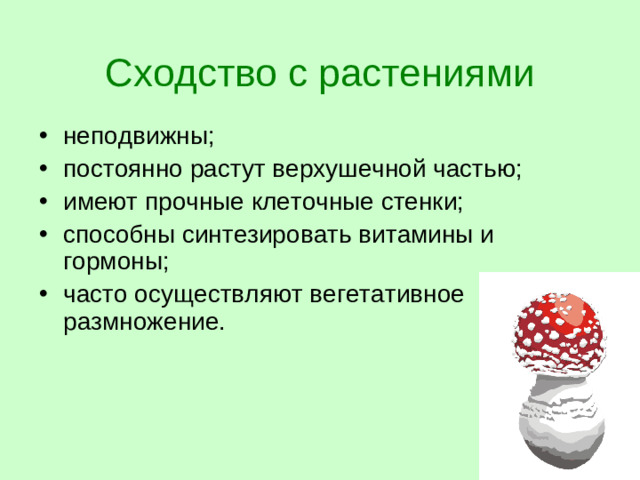 Сходство с растениями