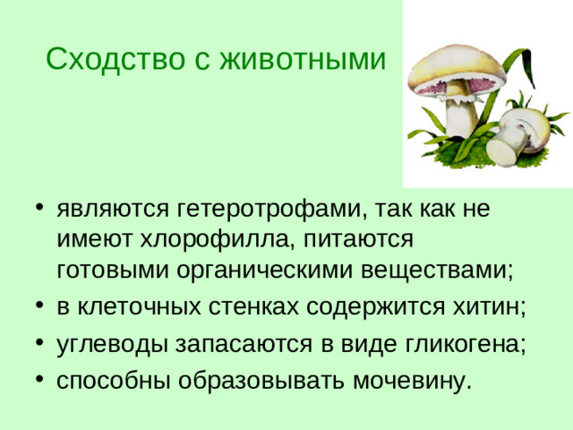 Сходство с животными