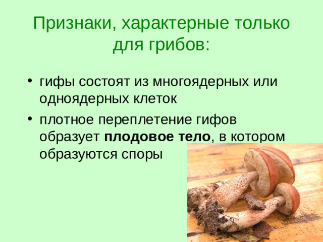 Признаки, характерные только для грибов: