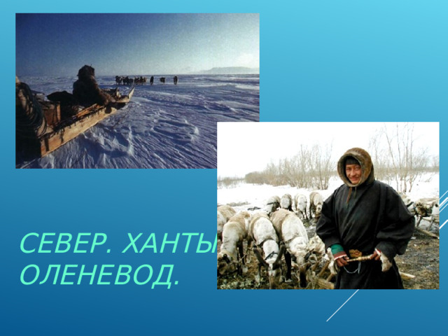 СЕВЕР. ХАНТЫ – ОЛЕНЕВОД.