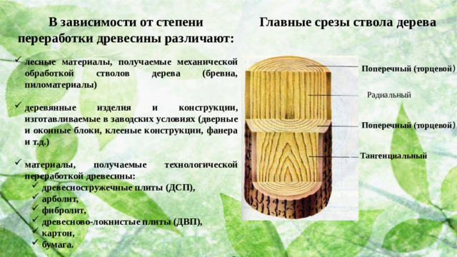 Главные срезы ствола дерева В зависимости от степени переработки древесины различают: лесные материалы, получаемые механической обработкой стволов дерева (бревна, пиломатериалы)  деревянные изделия и конструкции, изготавливаемые в заводских условиях (дверные и оконные блоки, клееные конструкции, фанера и т.д.)  материалы, получаемые технологической переработкой древесины: древесностружечные плиты (ДСП), арболит, фибролит, древесново-локнистые плиты (ДВП), картон, бумага. древесностружечные плиты (ДСП), арболит, фибролит, древесново-локнистые плиты (ДВП), картон, бумага. Поперечный (торцевой ) Радиальный Поперечный (торцевой ) Тангенциальный