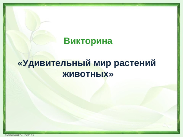 Викторина   «Удивительный мир растений животных»