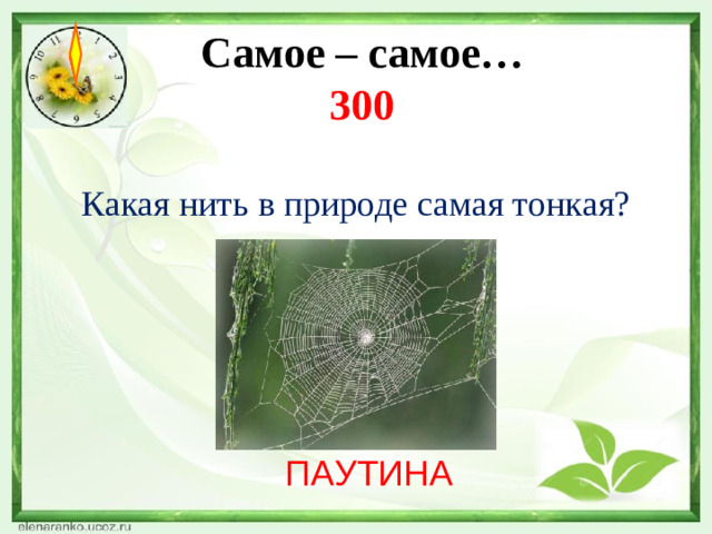 Самое – самое…  300   Какая нить в природе самая тонкая? ПАУТИНА