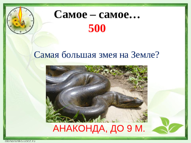 Самое – самое…  500   Самая большая змея на Земле? АНАКОНДА, ДО 9 М.