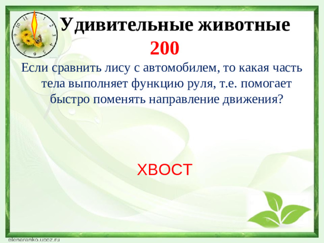 Удивительные животные  200 Если сравнить лису с автомобилем, то какая часть тела выполняет функцию руля, т.е. помогает быстро поменять направление движения? ХВОСТ