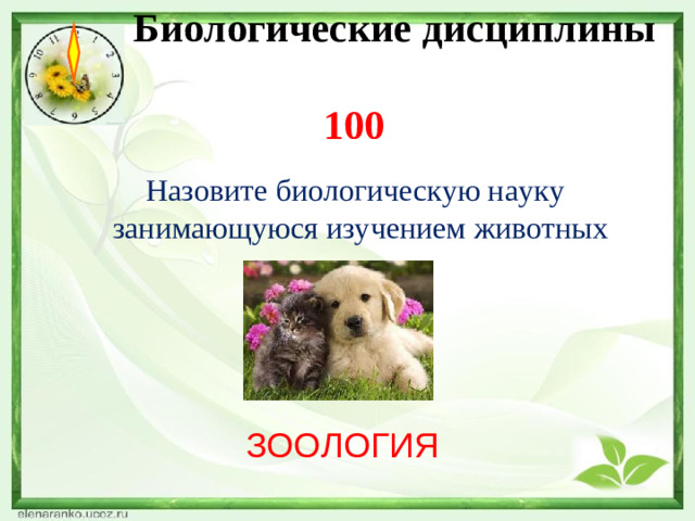Биологические дисциплины  100    Назовите биологическую науку занимающуюся изучением животных ЗООЛОГИЯ