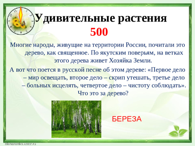 Удивительные растения  500 Многие народы, живущие на территории России, почитали это дерево, как священное. По якутским поверьям, на ветках этого дерева живет Хозяйка Земли. А вот что поется в русской песне об этом дереве: «Первое дело – мир освещать, второе дело – скрип утешать, третье дело – больных исцелять, четвертое дело – чистоту соблюдать». Что это за дерево? БЕРЕЗА