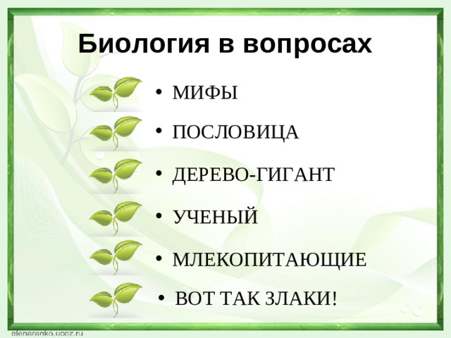 Биология в вопросах