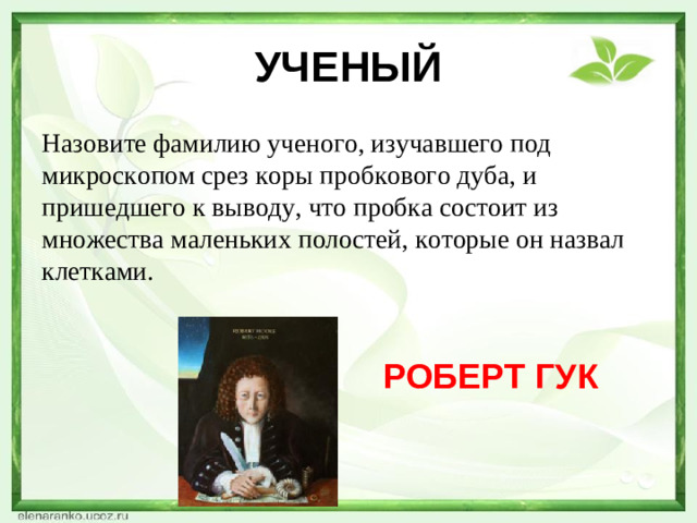 УЧЕНЫЙ Назовите фамилию ученого, изучавшего под микроскопом срез коры пробкового дуба, и пришедшего к выводу, что пробка состоит из множества маленьких полостей, которые он назвал клетками. РОБЕРТ ГУК