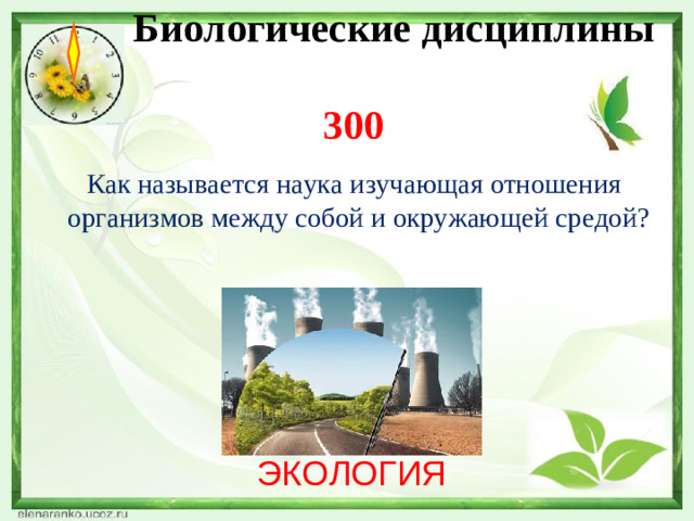 Биологические дисциплины  300    Как называется наука изучающая отношения организмов между собой и окружающей средой? ЭКОЛОГИЯ