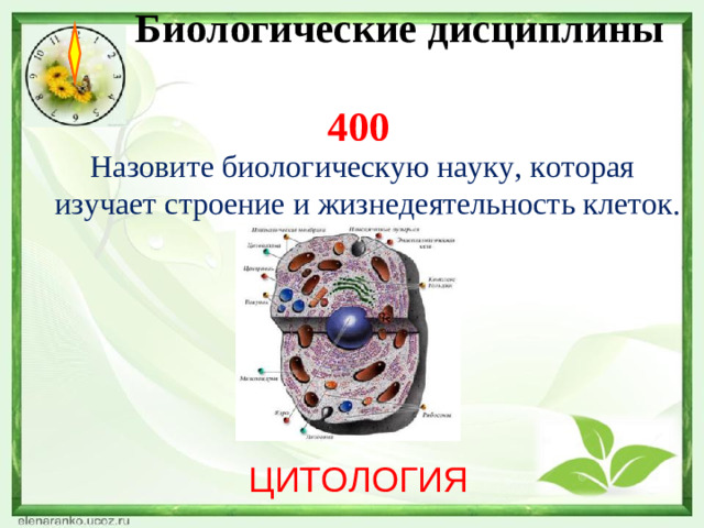 Биологические дисциплины  400   Назовите биологическую науку, которая изучает строение и жизнедеятельность клеток. ЦИТОЛОГИЯ