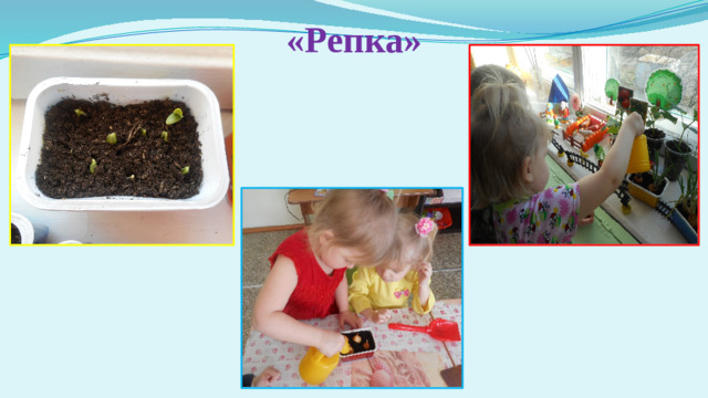 «Репка»