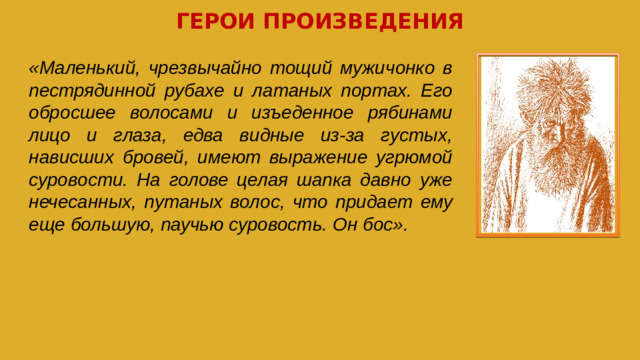 ГЕРОИ ПРОИЗВЕДЕНИЯ «Маленький, чрезвычайно тощий мужичонко в пестрядинной рубахе и латаных портах. Его обросшее волосами и изъеденное рябинами лицо и глаза, едва видные из-за густых, нависших бровей, имеют выражение угрюмой суровости. На голове целая шапка давно уже нечесанных, путаных волос, что придает ему еще большую, паучью суровость. Он бос».