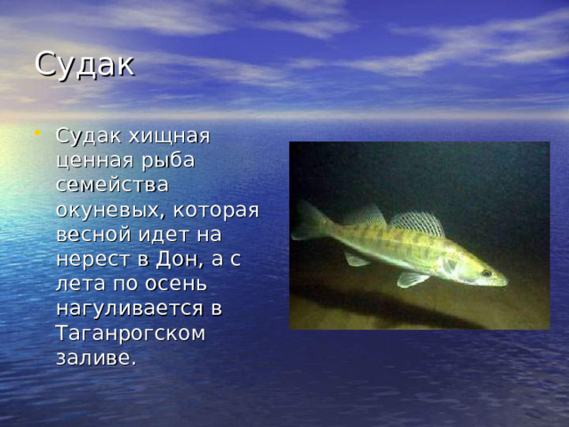 Судак