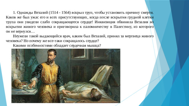 1. Однажды Везалий (1514 - 1564) вскрыл труп, чтобы установить причину смерти. Каков же был ужас его и всех присутствующих, когда после вскрытия грудной клетки трупа они увидели слабо сокращающееся сердце! Инквизиция обвинила Везалия во вскрытии живого человека и приговорила к паломничеству в Палестину, из которого он не вернулся… Неужели такой выдающийся врач, каким был Везалий, принял за мертвеца живого человека? Но почему же все-таки сокращалось сердце? Какими особенностями обладает сердечная мышца?
