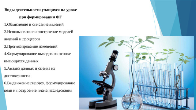Виды деятельности учащихся на уроке при формировании ФГ