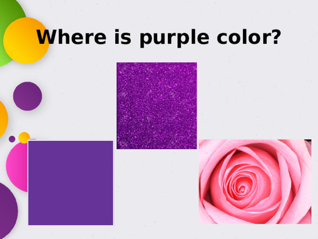 Where is purple color?