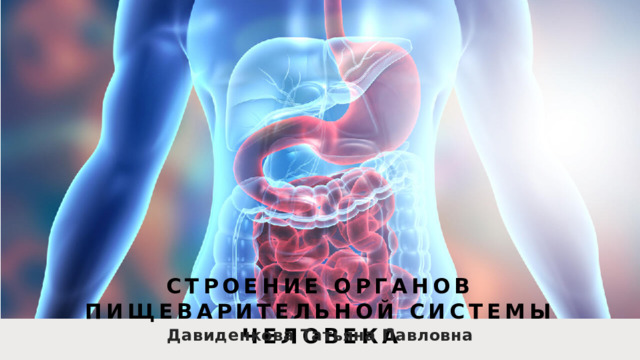 Строение органов пищеварительной системы человека Давиденкова Татьяна Павловна 1