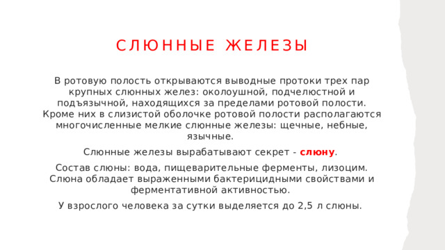 Слюнные железы В ротовую полость открываются выводные протоки трех пар крупных слюнных желез: околоушной, подчелюстной и подъязычной, находящихся за пределами ротовой полости. Кроме них в слизистой оболочке ротовой полости располагаются многочисленные мелкие слюнные железы: щечные, небные, язычные. Слюнные железы вырабатывают секрет - слюну . Состав слюны: вода, пищеварительные ферменты, лизоцим. Слюна обладает выраженными бактерицидными свойствами и ферментативной активностью. У взрослого человека за сутки выделяется до 2,5 л слюны. 1