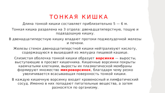 Тонкая кишка Длина тонкой кишки составляет приблизительно 5 — 6 м. Тонкая кишка разделена на 3 отдела: двенадцатиперстную, тощую и подвздошную кишку. В двенадцатиперстную кишку впадают протоки поджелудочной железы и печени. Железы стенок двенадцатиперстной кишки нейтрализуют кислоту, содержащуюся в вышедшей из желудка пищевой кашице. Слизистая оболочка тонкой кишки образует ворсинки — выросты, выступающие в просвет кишечника. Кишечные ворсинки покрыты каемчатыми клетками, выросты их плазматической мембраны формируют множество микроворсинок , благодаря чему резко увеличивается всасывающая поверхность тонкой кишки. В каждую кишечную ворсинку входит кровеносный и лимфатический сосуд. Именно в них попадают питательные вещества, а затем разносятся по организму. 1