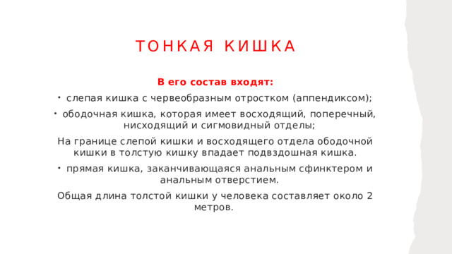 Тонкая кишка В его состав входят: слепая кишка с червеобразным отростком (аппендиксом); ободочная кишка, которая имеет восходящий, поперечный, нисходящий и сигмовидный отделы; На границе слепой кишки и восходящего отдела ободочной кишки в толстую кишку впадает подвздошная кишка. прямая кишка, заканчивающаяся анальным сфинктером и анальным отверстием. Общая длина толстой кишки у человека составляет около 2 метров. 1