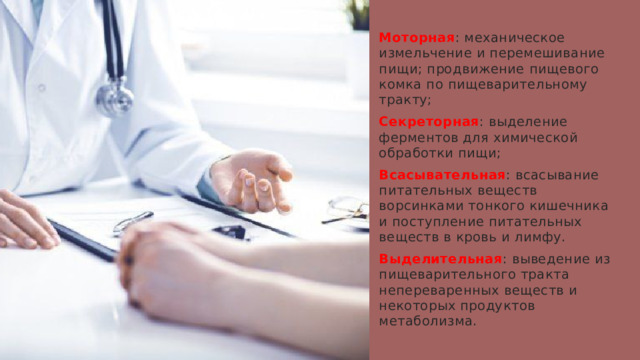 Моторная : механическое измельчение и перемешивание пищи; продвижение пищевого комка по пищеварительному тракту; Секреторная : выделение ферментов для химической обработки пищи; Всасывательная : всасывание питательных веществ ворсинками тонкого кишечника и поступление питательных веществ в кровь и лимфу. Выделительная : выведение из пищеварительного тракта непереваренных веществ и некоторых продуктов метаболизма. 1