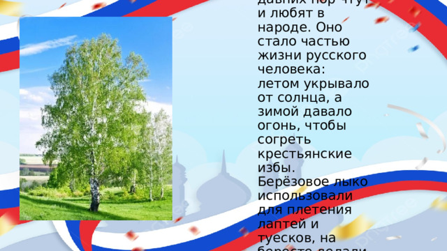 Это дерево с давних пор чтут и любят в народе. Оно стало частью жизни русского человека: летом укрывало от солнца, а зимой давало огонь, чтобы согреть крестьянские избы. Берёзовое лыко использовали для плетения лаптей и туесков, на бересте делали первые записи