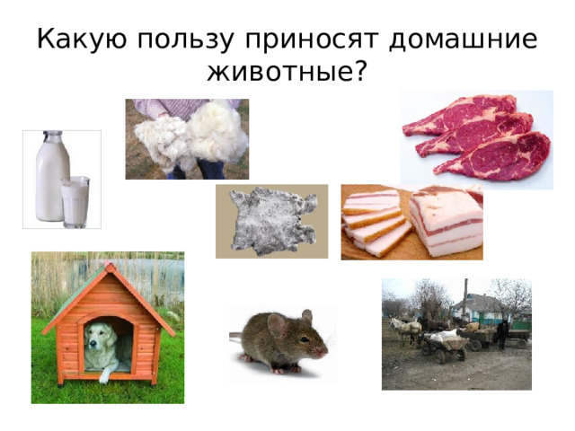 Какую пользу приносят домашние животные?