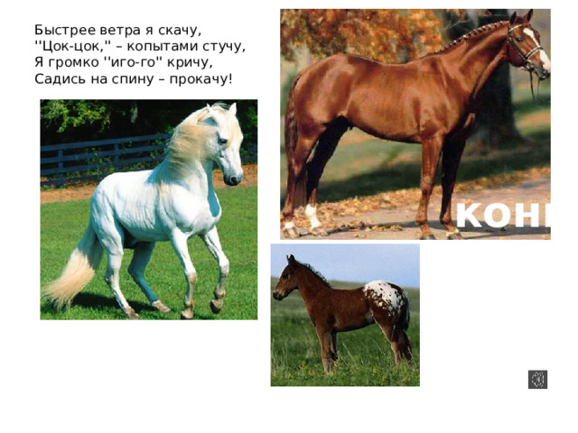 Быстрее ветра я скачу,  ''Цок-цок,'' – копытами стучу,  Я громко ''иго-го'' кричу,  Садись на спину – прокачу!   конь лошадь жеребёнок