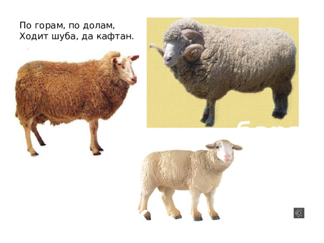 По горам, по долам,  Ходит шуба, да кафтан. баран овца ягнёнок