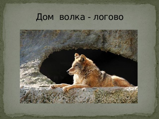 Дом волка - логово