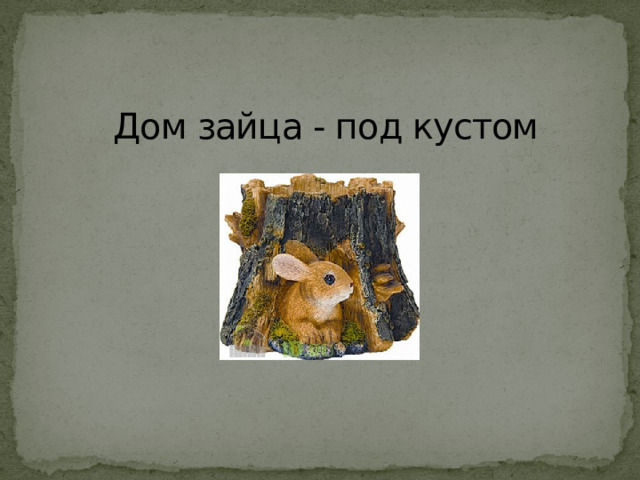 Дом зайца - под кустом