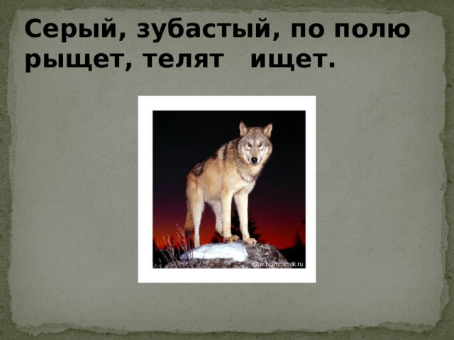 Серый, зубастый, по полю рыщет, телят ищет. Рыжая с пушистым хвостом – живет в норе под кустом