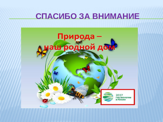 Спасибо за внимание