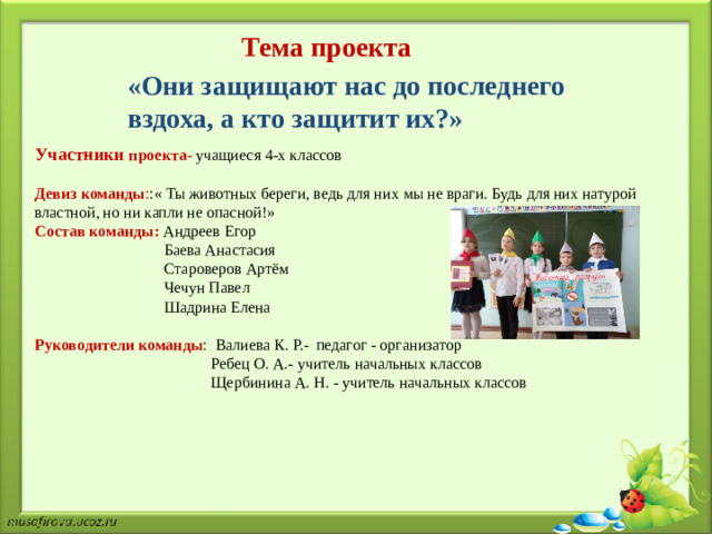 Тема проекта «Они защищают нас до последнего вздоха, а кто защитит их?» Участники  проекта- учащиеся 4-х классов Девиз команды : :« Ты животных береги, ведь для них мы не враги. Будь для них натурой властной, но ни капли не опасной!» Состав команды: Андреев Егор  Баева Анастасия  Староверов Артём  Чечун Павел  Шадрина Елена Руководители  команды : Валиева К. Р.- педагог - организатор  Ребец О. А.- учитель начальных классов  Щербинина А. Н. - учитель начальных классов