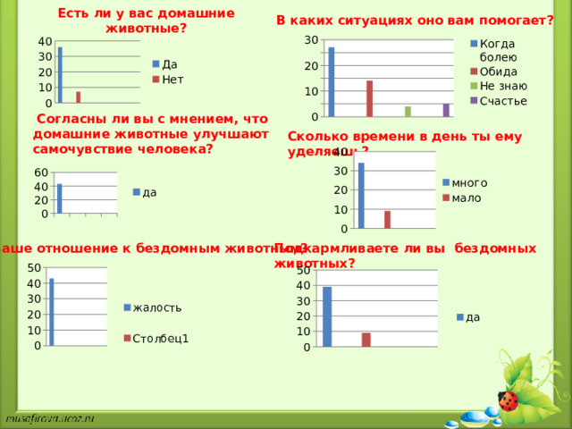 Есть ли у вас домашние животные? В каких ситуациях оно вам помогает?     Согласны ли вы с мнением, что домашние животные улучшают самочувствие человека? Сколько времени в день ты ему уделяешь? Ваше отношение к бездомным животным? Подкармливаете ли вы бездомных животных?