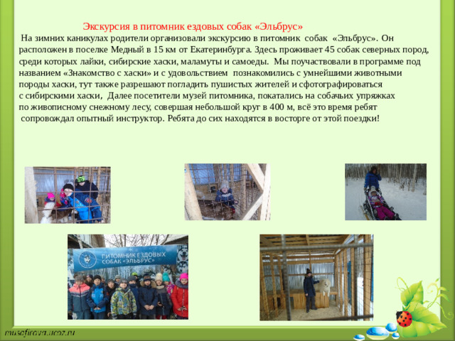 Экскурсия в питомник ездовых собак «Эльбрус»  На зимних каникулах родители организовали экскурсию в питомник собак «Эльбрус».  Он расположен в поселке Медный в 15 км от Екатеринбурга. Здесь проживает 45 собак северных пород, среди которых лайки, сибирские хаски, маламуты и самоеды. Мы поучаствовали в программе под названием «Знакомство с хаски» и с удовольствием познакомились с умнейшими животными породы хаски, тут также разрешают погладить пушистых жителей и сфотографироваться с сибирскими хаски , Далее посетители музей питомника, покатались на собачьих упряжках по живописному снежному лесу, совершая небольшой круг в 400 м, всё это время ребят  сопровождал опытный инструктор. Ребята до сих находятся в восторге от этой поездки!