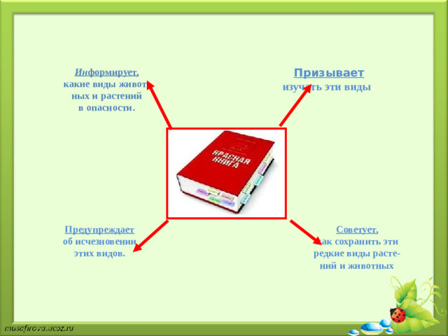 Ин формирует,  какие виды живот-  ных и растений  в опасности. Призывает изучать эти виды . Советует, Предупреждает об исчезновении этих видов. как сохранить эти редкие виды расте- ний и животных