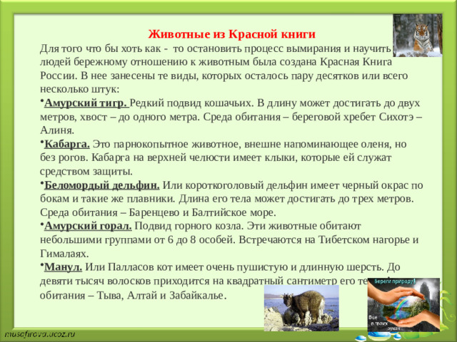 Животные из Красной книги Для того что бы хоть как -  то остановить процесс вымирания и научить людей бережному отношению к животным была создана Красная Книга России. В нее занесены те виды, которых осталось пару десятков или всего несколько штук: