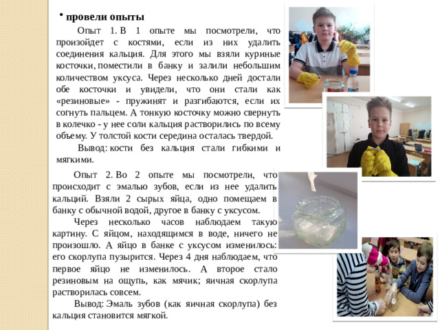 провели опыты