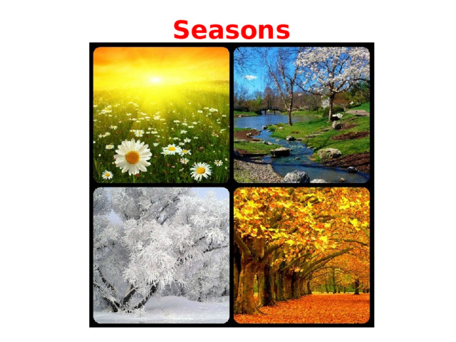 Seasons