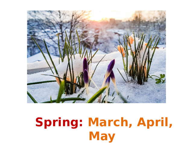 Spring: March, April, May